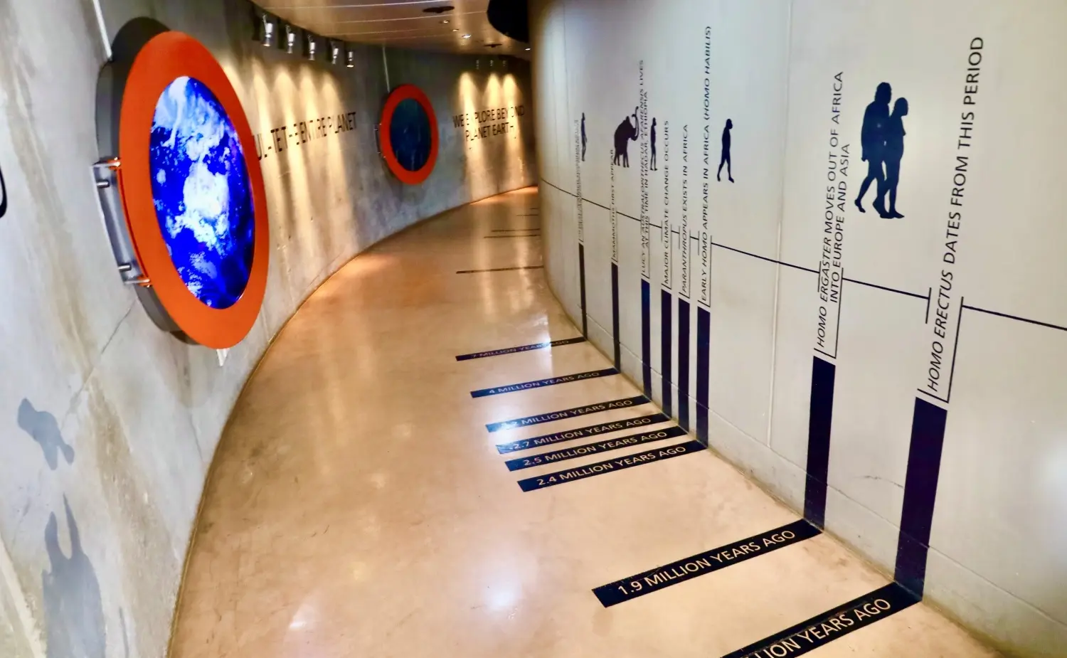 17542942027883_.museum21