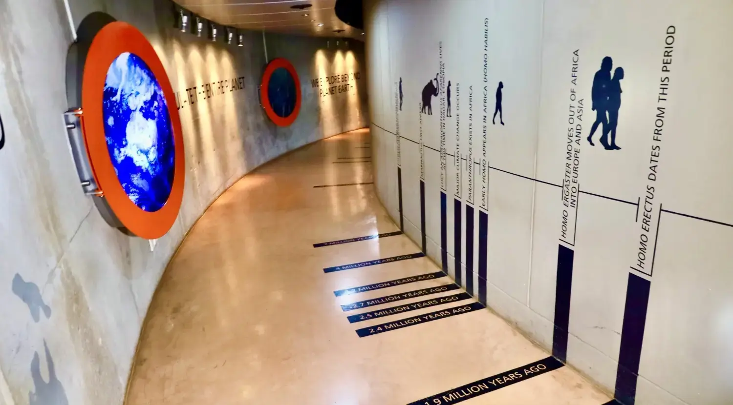 17542942027883_.museum21