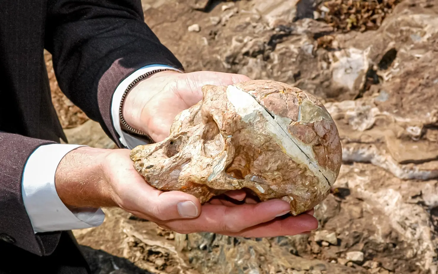 17542945489032_.theoriginalmrsplesskull