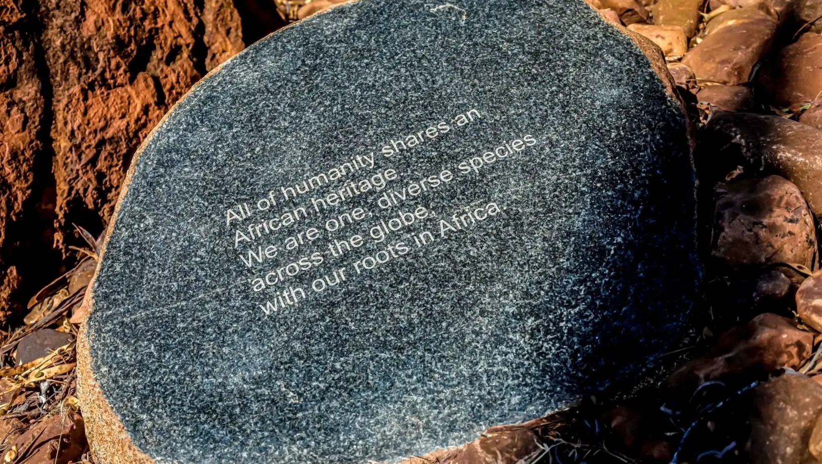 17542980571051_.img9884