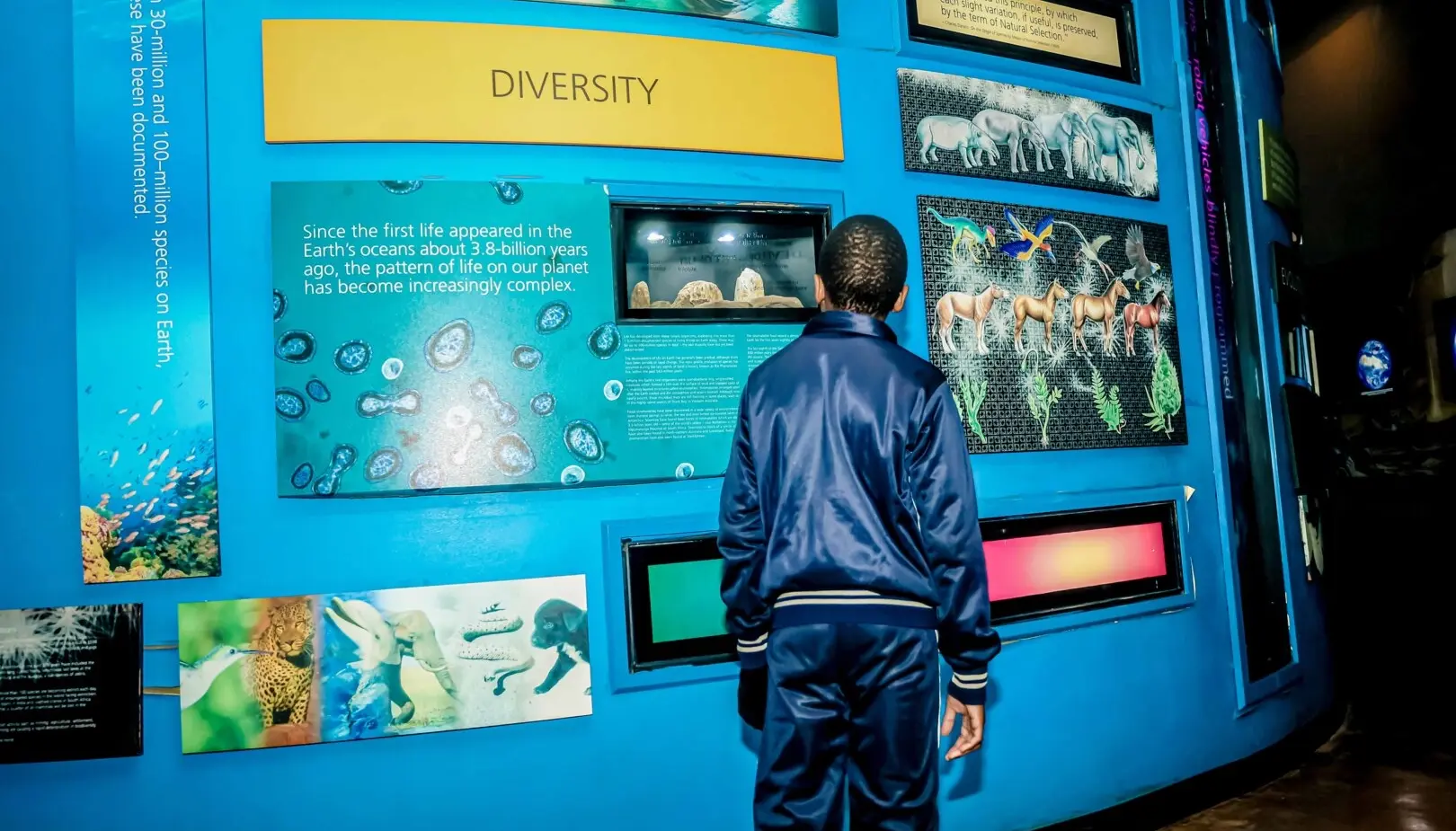 17542983402927_.img9811